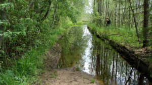 Затопленный участок насыпи бывшей ж.д. Чудово-Веймарн у Ёглинского болота.