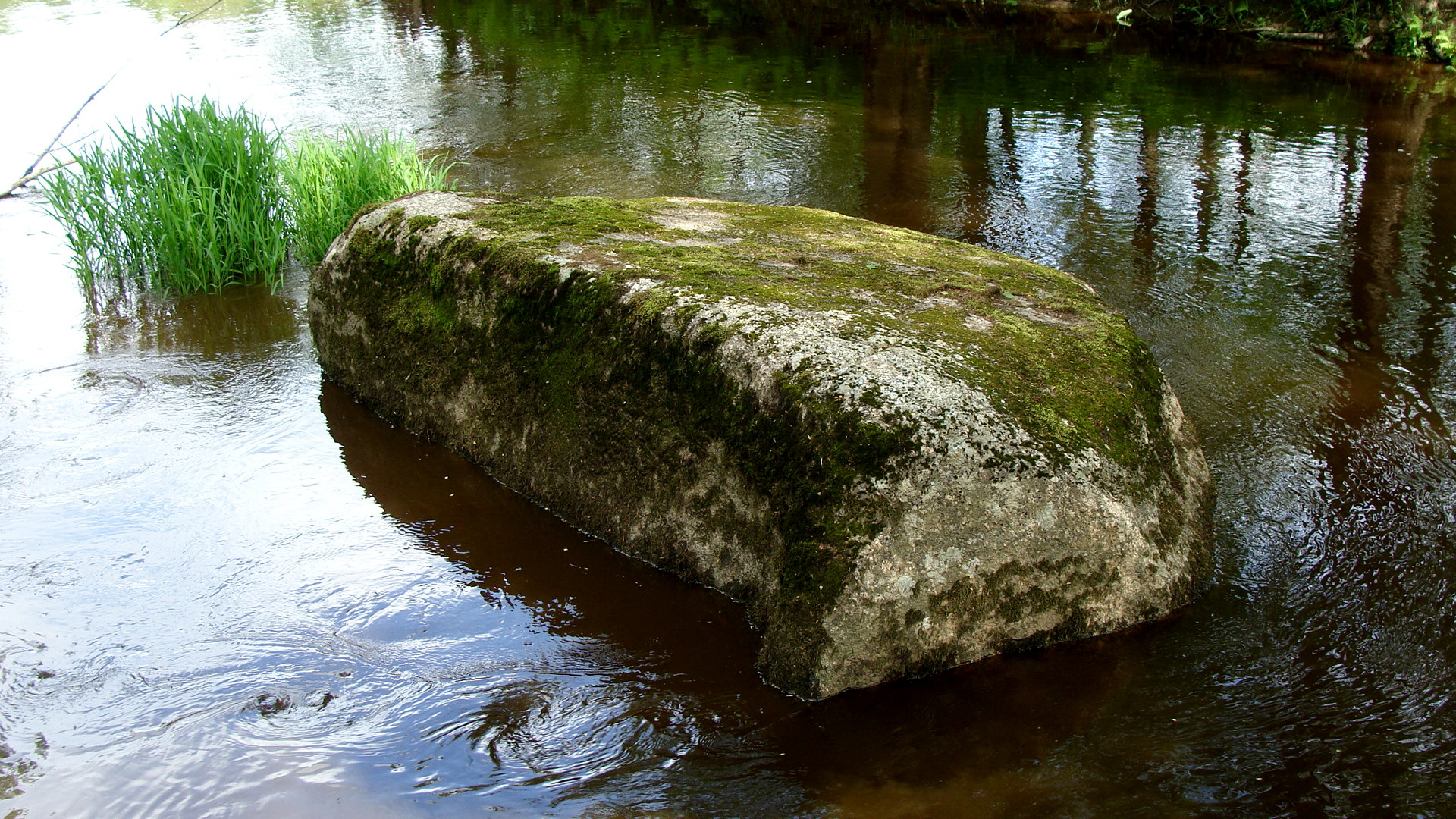 Рубежный камень Тосно